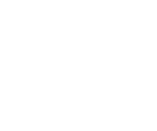 bse-logo-symbol-white